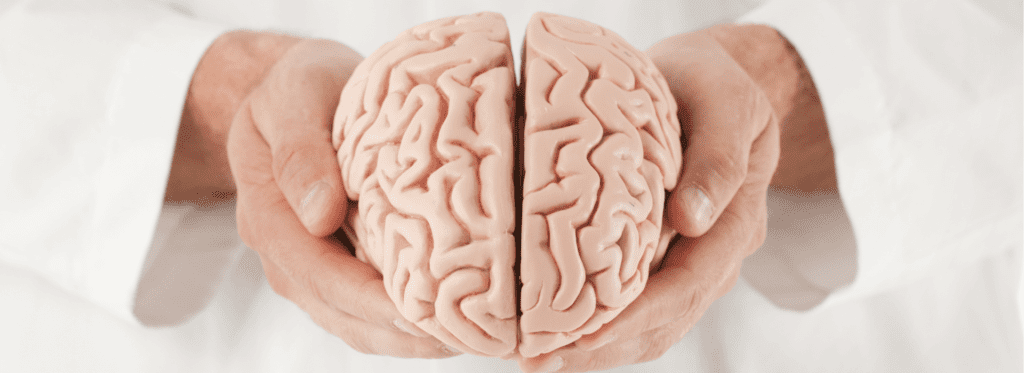 🍭 el azúcar alta y el cerebro, 😮 una bomba de tiempo! - -