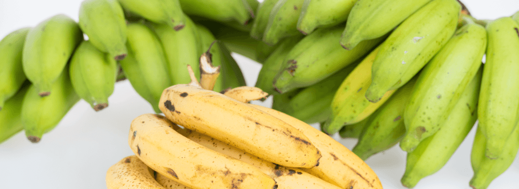 🍌 bananas in the diet for diabetes ✅ - -